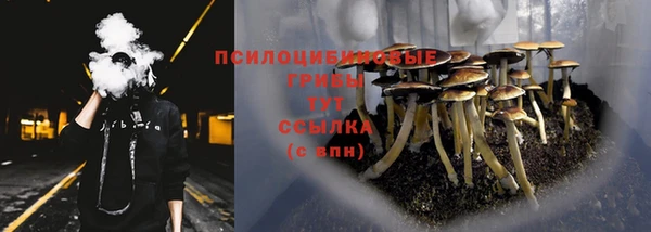 амф Верея