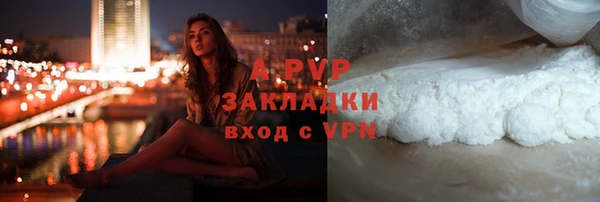 амф Верея