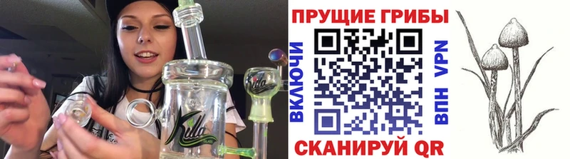 Псилоцибиновые грибы мухоморы  OMG   Дзержинский 