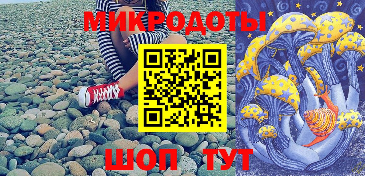Галлюциногенные грибы прущие грибы  Дзержинский  как найти   Псилоцибиновые грибы MAGIC MUSHROOMS 