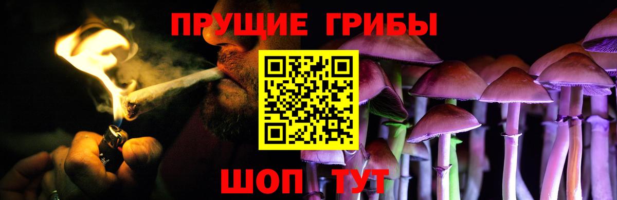где можно купить   Псилоцибиновые грибы Magic Shrooms  Вход с VPN  Дзержинский 